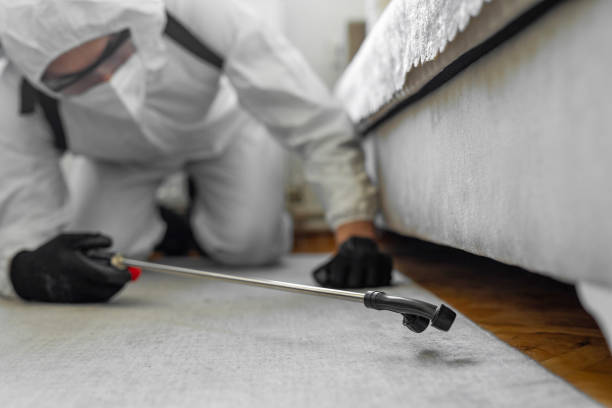 Professional Pest Control technician working in Waynesboro city County, VA